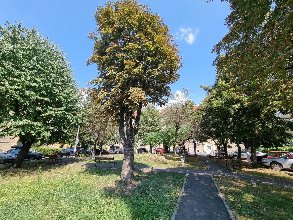 Ultra-Central 1 Bed Apartment, Str Nicolae Iorga Μπάια Μάρε Εξωτερικό φωτογραφία