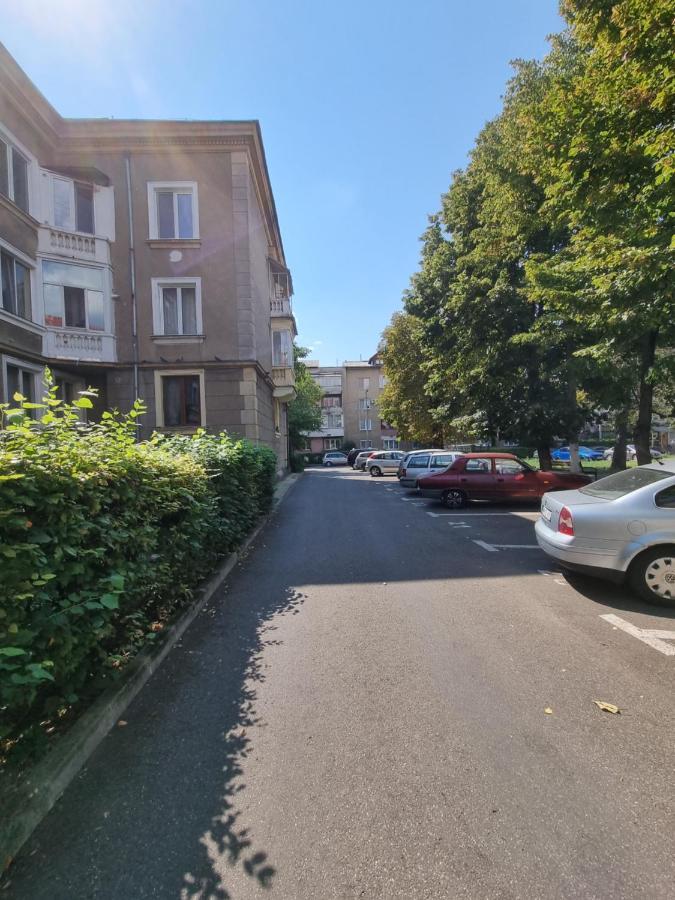 Ultra-Central 1 Bed Apartment, Str Nicolae Iorga Μπάια Μάρε Εξωτερικό φωτογραφία